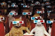 cats watching a 3D movie