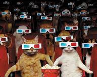 cats watching a 3D movie