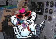 After9’s new video- Space Cat Odyssey