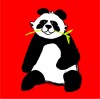 The Bear Song by the Rockabyes