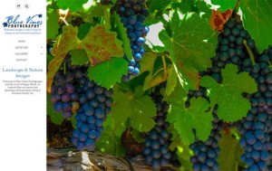 Blue Vines Photography website